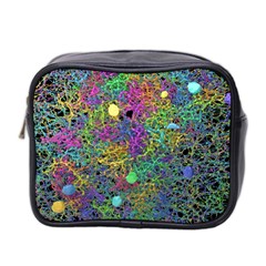 Starbursts Biploar Spring Colors Nature Mini Toiletries Bag 2-side by BangZart