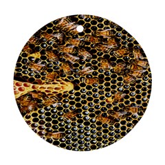 Queen Cup Honeycomb Honey Bee Ornament (round) by BangZart