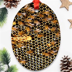 Queen Cup Honeycomb Honey Bee Ornament (oval) by BangZart