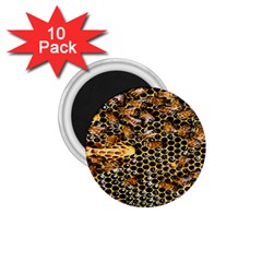 Queen Cup Honeycomb Honey Bee 1 75  Magnets (10 Pack)  by BangZart