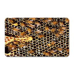 Queen Cup Honeycomb Honey Bee Magnet (rectangular) by BangZart