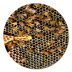 Queen Cup Honeycomb Honey Bee Magnet 5  (round) by BangZart