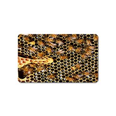 Queen Cup Honeycomb Honey Bee Magnet (name Card) by BangZart