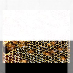 Queen Cup Honeycomb Honey Bee Rectangular Jigsaw Puzzl by BangZart