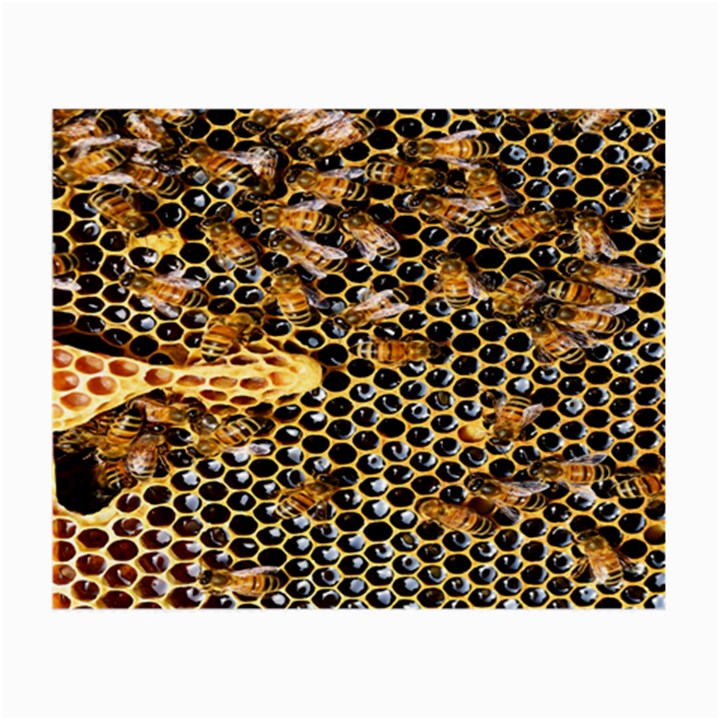 Queen Cup Honeycomb Honey Bee Small Glasses Cloth