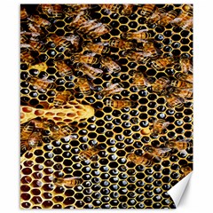 Queen Cup Honeycomb Honey Bee Canvas 8  X 10  by BangZart