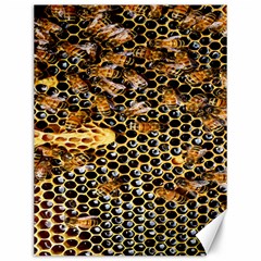 Queen Cup Honeycomb Honey Bee Canvas 12  X 16   by BangZart