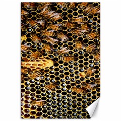 Queen Cup Honeycomb Honey Bee Canvas 12  X 18   by BangZart