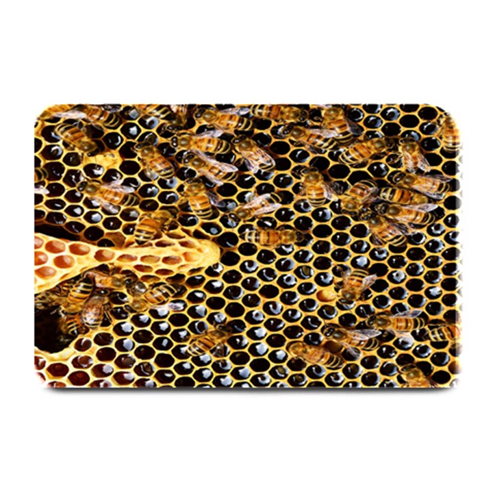 Queen Cup Honeycomb Honey Bee Plate Mats