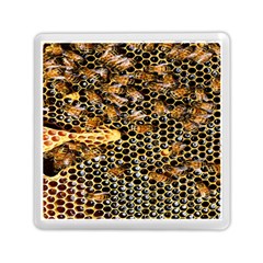 Queen Cup Honeycomb Honey Bee Memory Card Reader (square)  by BangZart