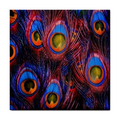 Pretty Peacock Feather Tile Coasters by BangZart