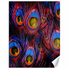 Pretty Peacock Feather Canvas 12  X 16   by BangZart