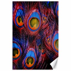 Pretty Peacock Feather Canvas 24  X 36  by BangZart