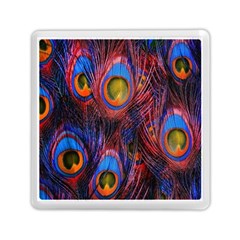 Pretty Peacock Feather Memory Card Reader (square)  by BangZart