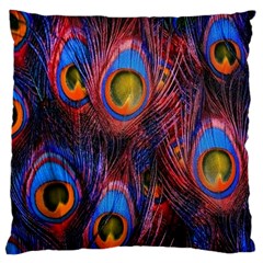 Pretty Peacock Feather Large Flano Cushion Case (one Side) by BangZart