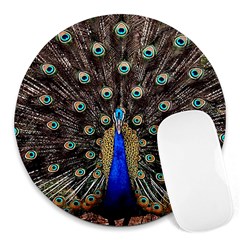 Peacock Round Mousepads by BangZart