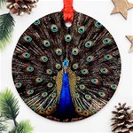 Peacock Ornament (Round) Front