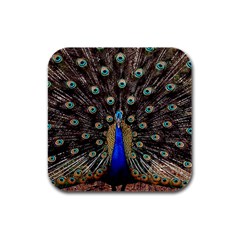 Peacock Rubber Square Coaster (4 Pack)  by BangZart