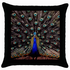 Peacock Throw Pillow Case (black) by BangZart