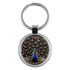 Peacock Key Chains (round)  by BangZart