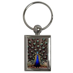 Peacock Key Chains (rectangle)  by BangZart