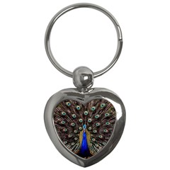 Peacock Key Chains (heart)  by BangZart