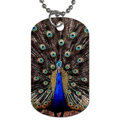 Peacock Dog Tag (one Side) by BangZart