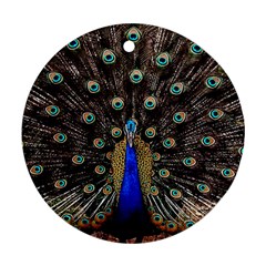 Peacock Round Ornament (two Sides) by BangZart