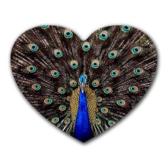 Peacock Heart Mousepads by BangZart