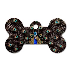 Peacock Dog Tag Bone (one Side) by BangZart