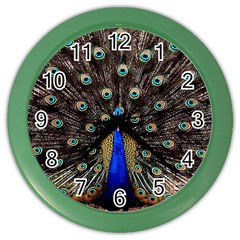 Peacock Color Wall Clocks by BangZart