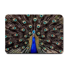 Peacock Small Doormat  by BangZart