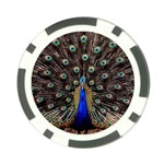 Peacock Poker Chip Card Guard Front