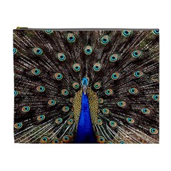 Peacock Cosmetic Bag (xl) by BangZart