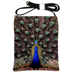 Peacock Shoulder Sling Bags by BangZart