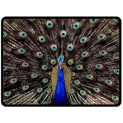 Peacock Fleece Blanket (large)  by BangZart