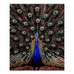 Peacock Shower Curtain 60  X 72  (medium)  by BangZart