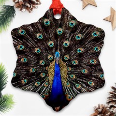 Peacock Ornament (snowflake) by BangZart