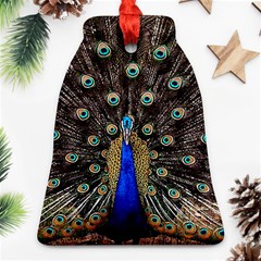 Peacock Ornament (bell) by BangZart