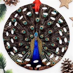 Peacock Round Filigree Ornament (two Sides) by BangZart