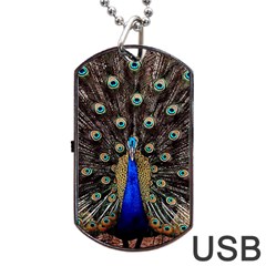 Peacock Dog Tag Usb Flash (one Side) by BangZart