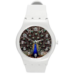 Peacock Round Plastic Sport Watch (m) by BangZart