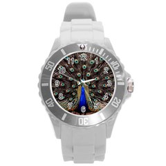 Peacock Round Plastic Sport Watch (l) by BangZart