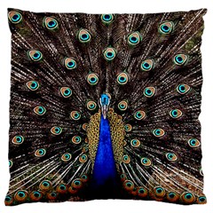 Peacock Large Cushion Case (one Side) by BangZart