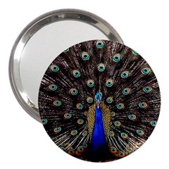 Peacock 3  Handbag Mirrors by BangZart