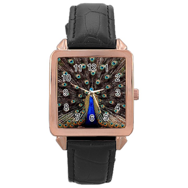 Peacock Rose Gold Leather Watch 