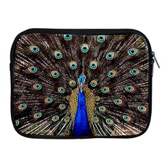 Peacock Apple Ipad 2/3/4 Zipper Cases by BangZart