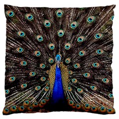 Peacock Large Flano Cushion Case (one Side) by BangZart