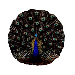 Peacock Standard 15  Premium Flano Round Cushions by BangZart