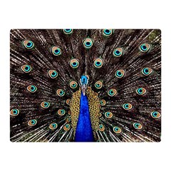 Peacock Double Sided Flano Blanket (mini)  by BangZart